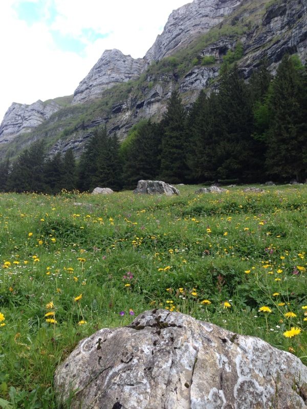 Bären – Das Gästehaus, gais, trip for gais, Wildkirchli Caves, Wildkirchli Caves Ebenalp, Wasserauen