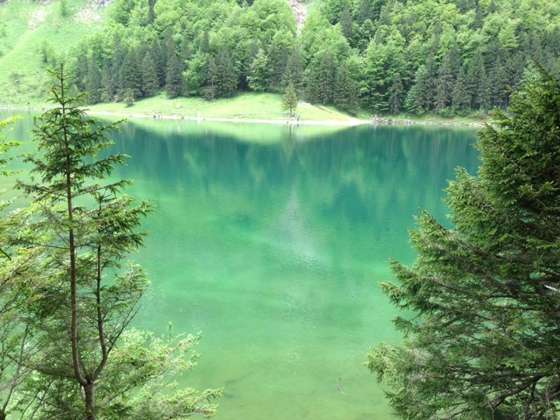 Bären – Das Gästehaus, gais, trip for gais, Wildkirchli Caves, Wildkirchli Caves Ebenalp, Wasserauen