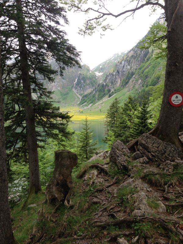 Bären – Das Gästehaus, gais, trip for gais, Wildkirchli Caves, Wildkirchli Caves Ebenalp, Wasserauen