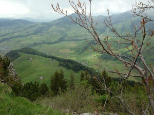 Bären – Das Gästehaus, gais, trip for gais, Wildkirchli Caves, Wildkirchli Caves Ebenalp, Wasserauen