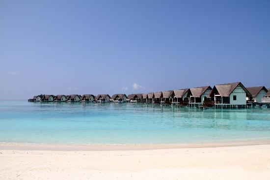 Landaa Giraavaru, Maldives, Four Seasons Maldives, luxury hotel maldives
