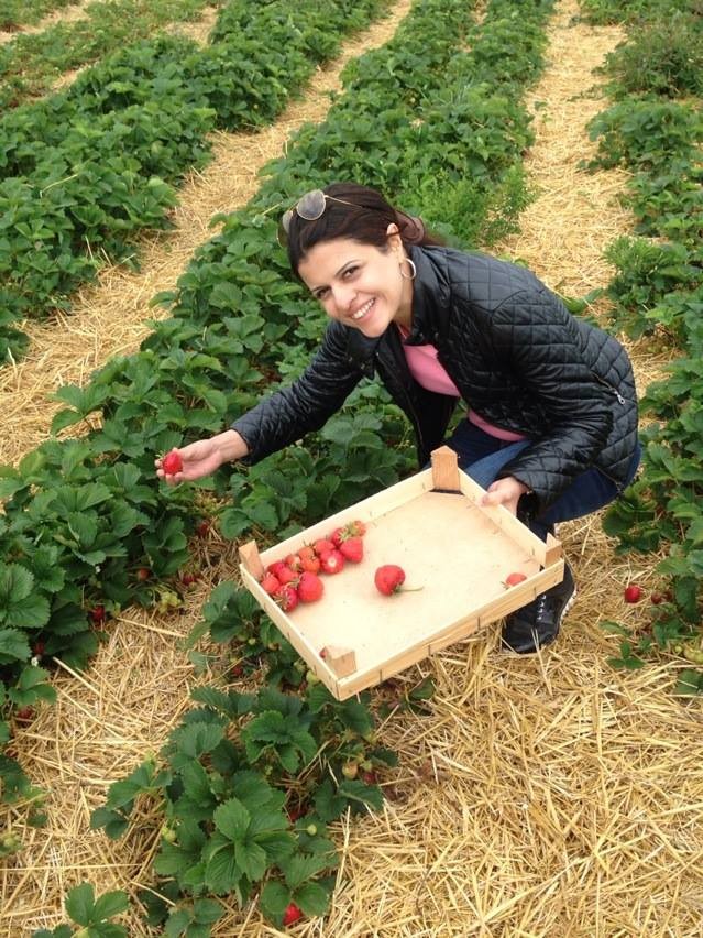 strawberry fields gais, Angel kissing spring, cherries, Strawberries, Gais Switzerland