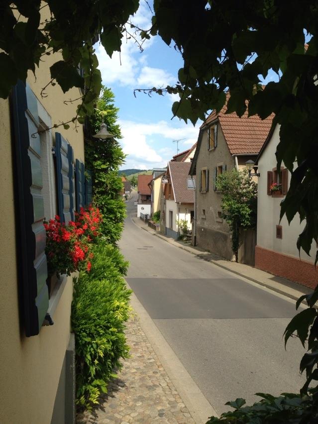 Schauinsland, Angel kissing spring, cherries, Strawberries, Gais Switzerland