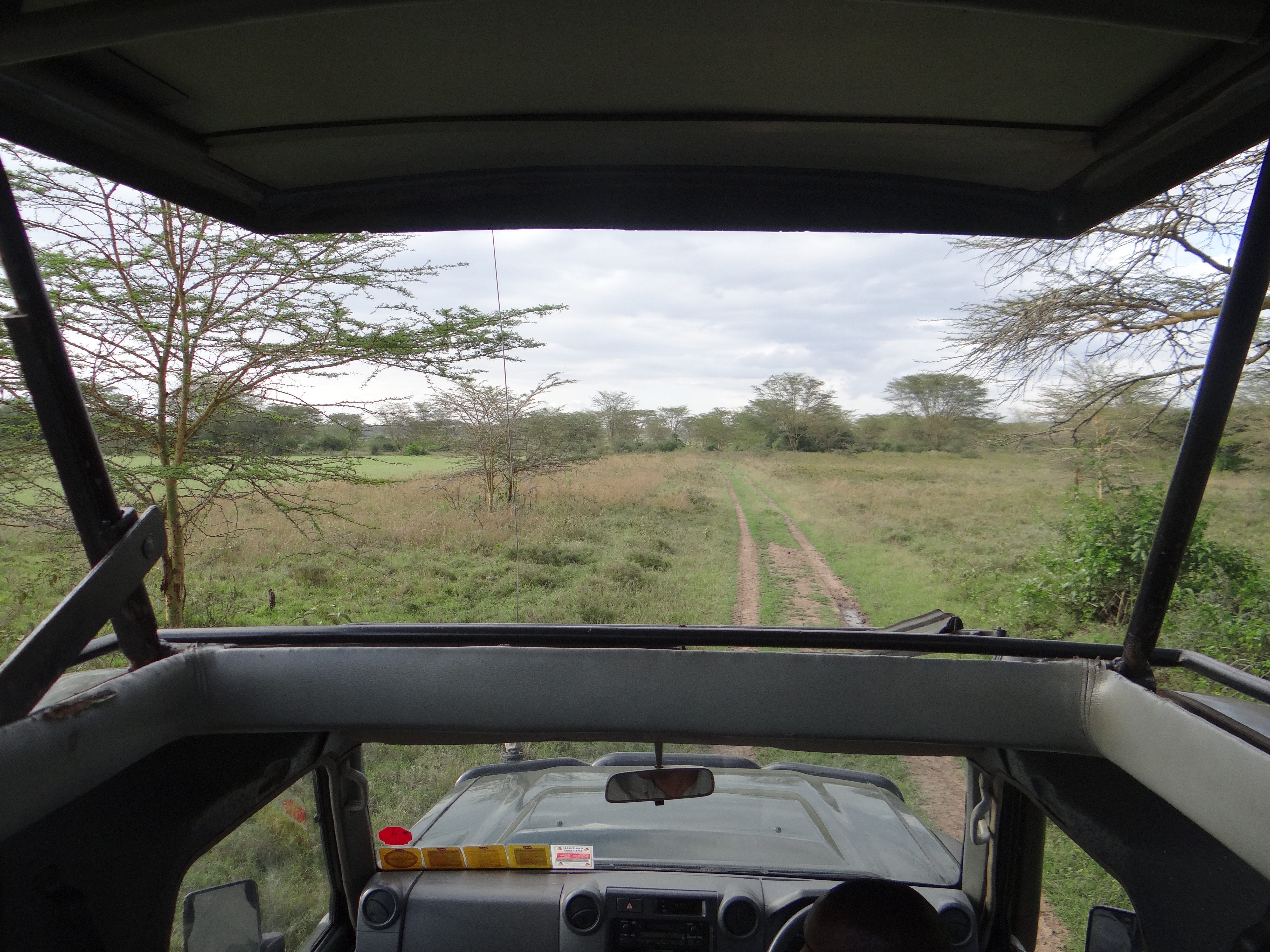 africa, Jambo Africa, Africa Safari, wildlife safari, Lake Elmenteita