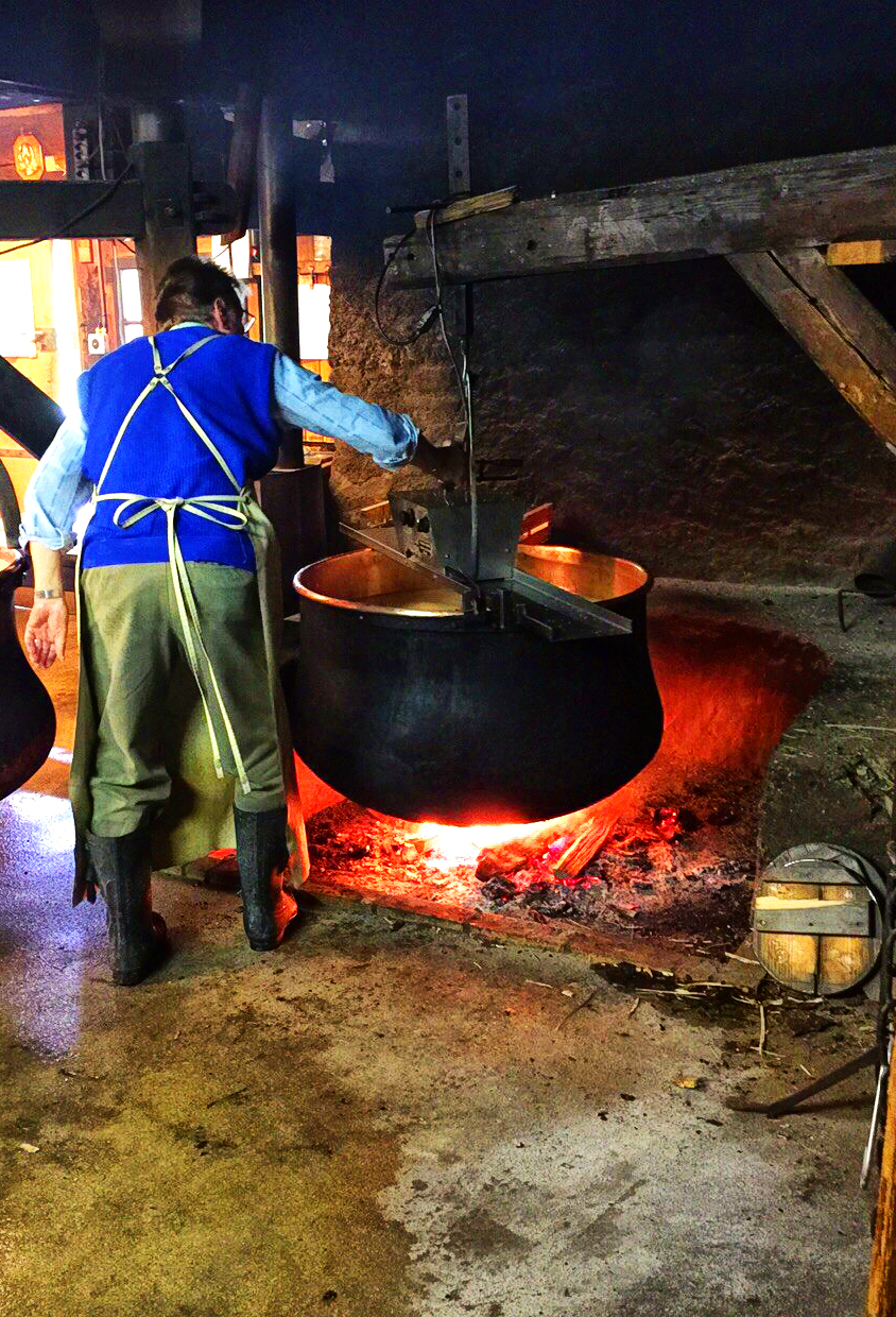 alpine cheesery Gruyère, gruyere, Saane river, Switzerland 