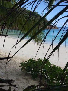 four seasons resort, seychelles, snorkelling