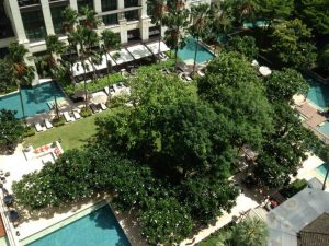 siam kempinski hotel, Siam Kempinski, The Lady in Red, luxury hotel bangkok, Henrik Yde Andersen, The Siam Kempinski 