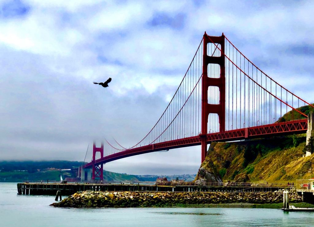 Taj Campton, Taj Campton Place, Taj Campton Place Hotel, taj campton place, taj san francisco, luxury hotels in san francisco, taj hotels