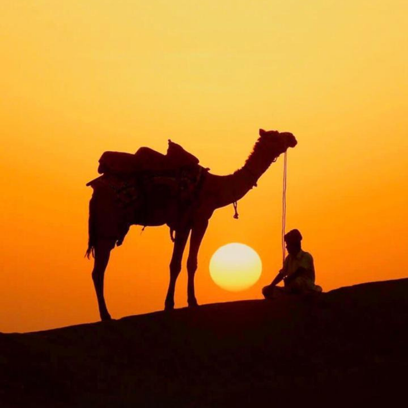 Camel ride at serai, serai sujan jaisalmer, sujan the serai jaisalmer, the serai jaisalmer, The Serai Sujan,