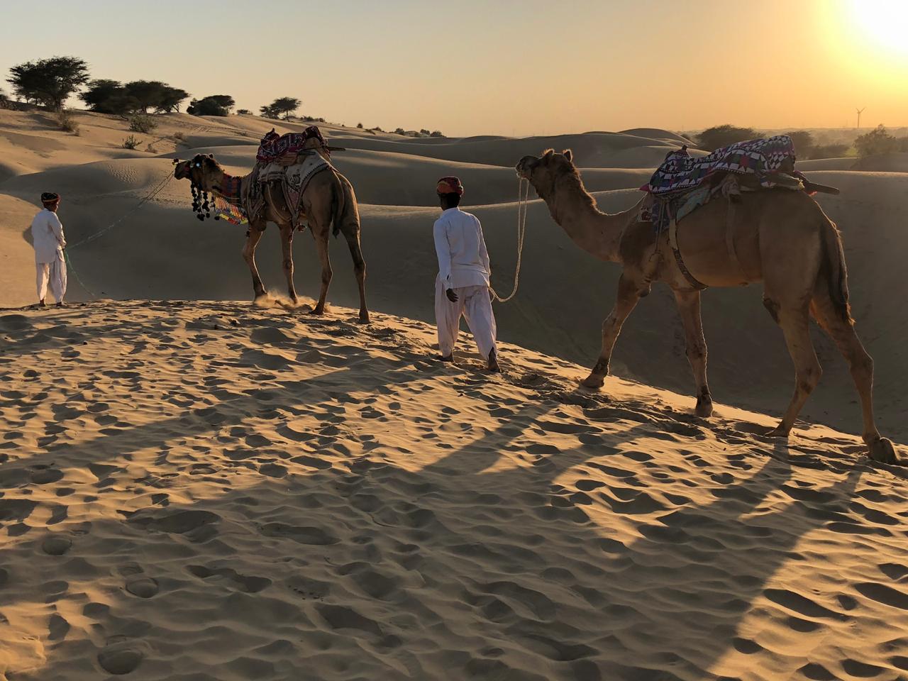 Camel ride at serai, serai sujan jaisalmer, sujan the serai jaisalmer, the serai jaisalmer, The Serai Sujan,