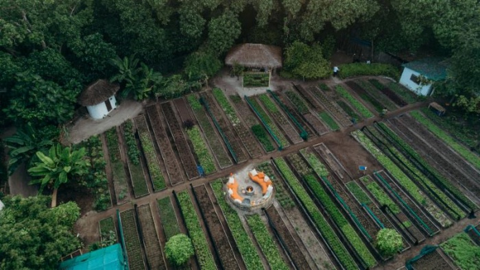 Natalie Dau, Shades of Green, Soneva Fushi, Young Sushi Master Kenji Gyoten,